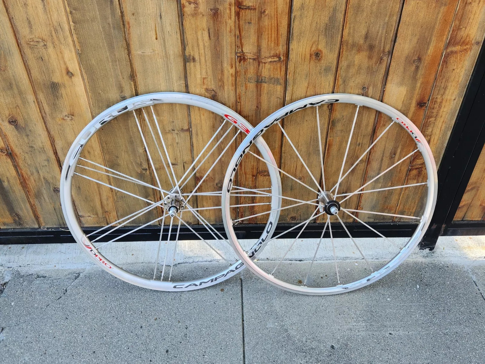 Campagnolo Eurus G3 Alloy 700c Clincher Wheelset Campagnolo Campagnolo Eurus G3 Alloy 700c Clincher Wheelset Campagnolo