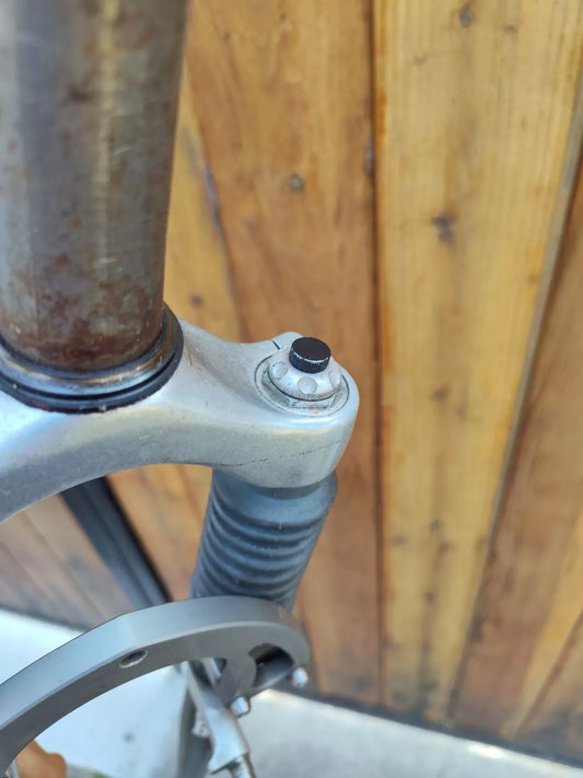 Vintage Carbon Suspension Fork 1-1/8" Rock Shox Specialized Future Shock