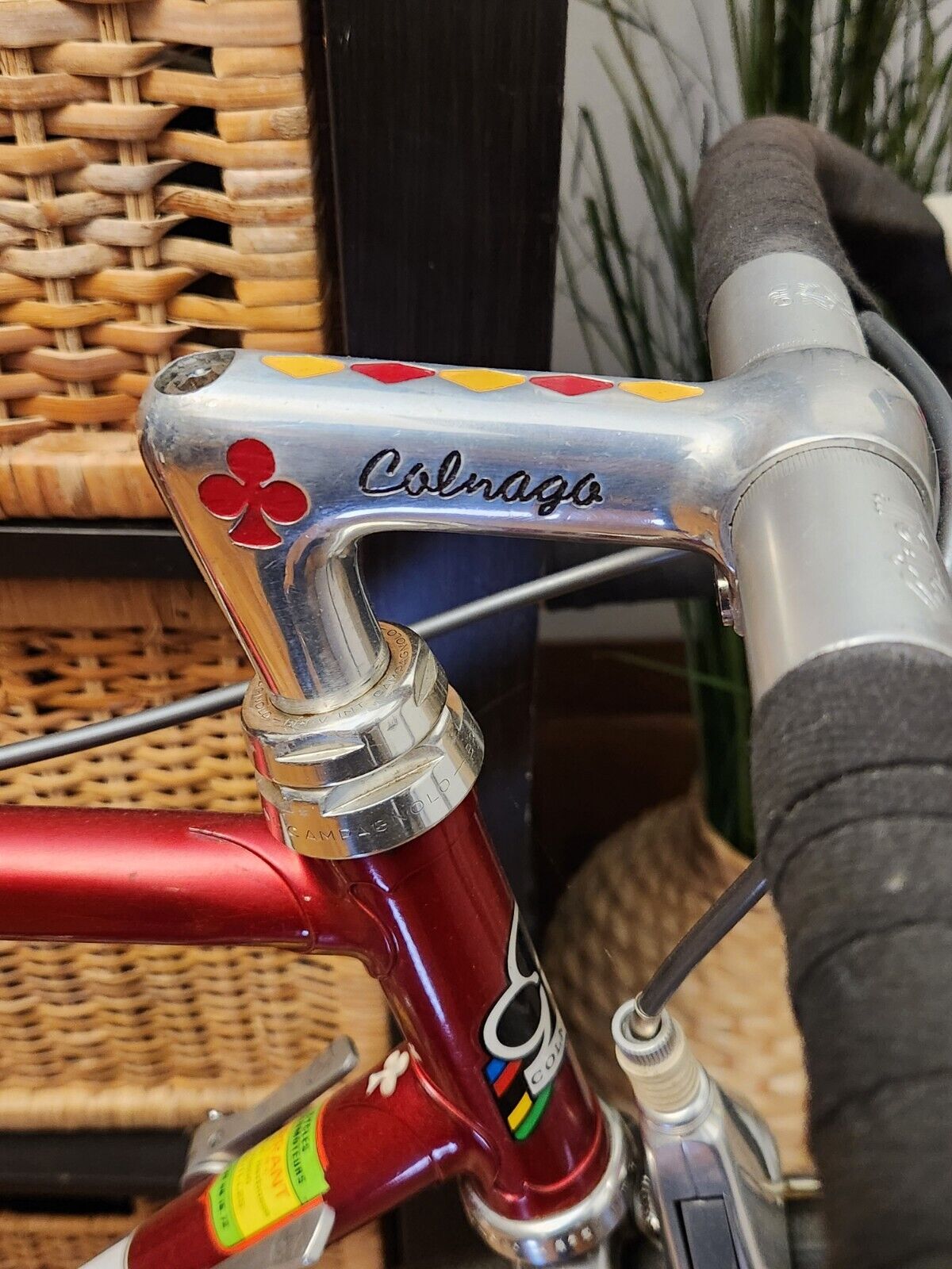 Colnago Nuovo Mexico C Record 53cm Vintage Velo Venice